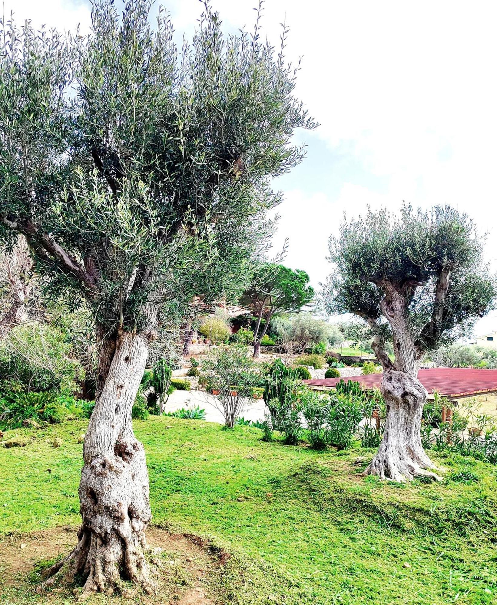 Villa Orizzonte Sullo Jonio Avola Luaran gambar